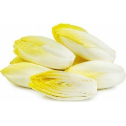 Endive