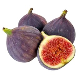 Figues Fraiches De Solliès