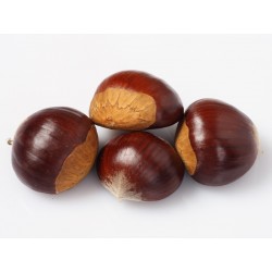 Marrons