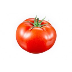Tomates Rondes (6/8 pièces)