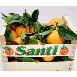 Oranges De Sicile (5/6 fruits)