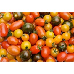 Tomates Cerise Méli-Mélo