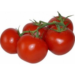 Tomates grappe (7/8 pièces)