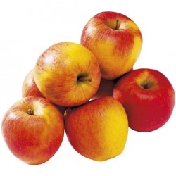 Pomme Elstar (5/6 fruits)