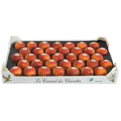Abricots  (6/8 fruits)